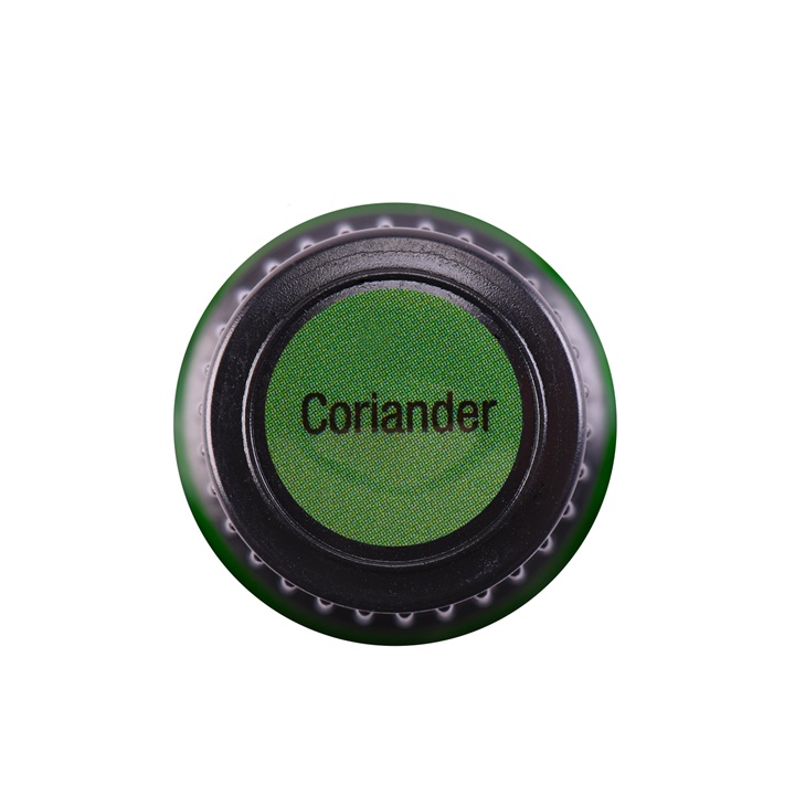 Coriander